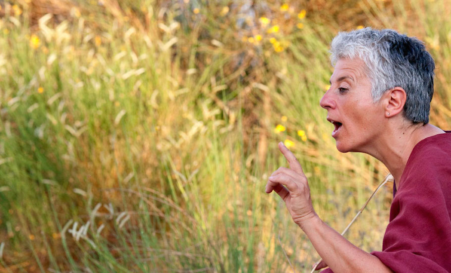 Natura Narrante-F.Galli.jpg