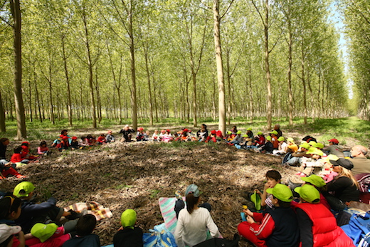 teatronatura_naturalmentecreativi1