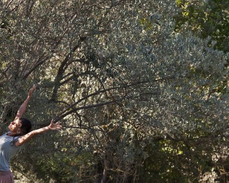 teatronatura-museodellolio1